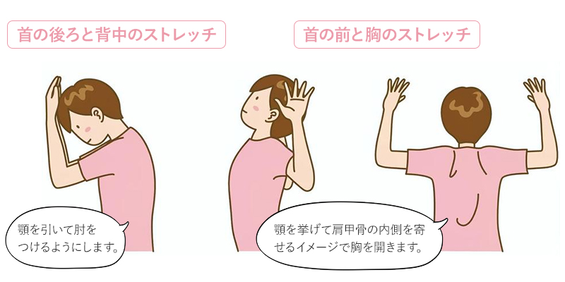 首・背中のストレッチ